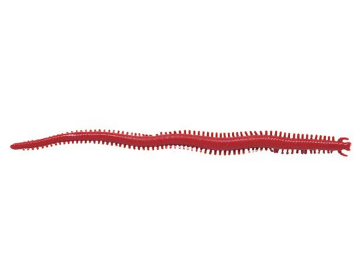 Gulp! Sandworm