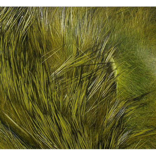Hareline Dubbin Magnum Rabbit Strips