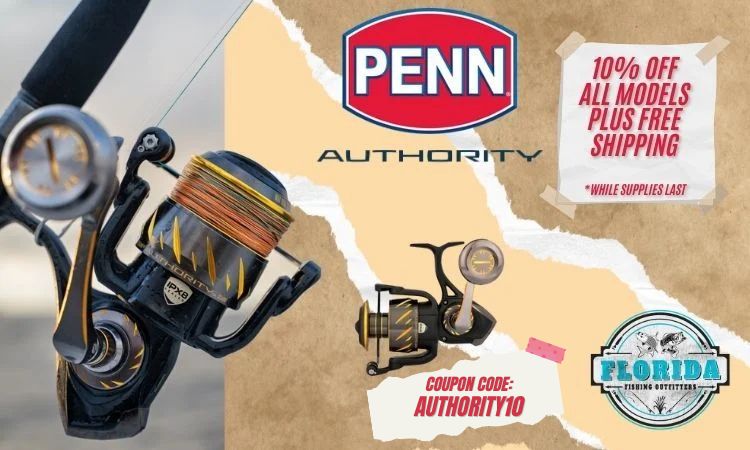 USE THE COUPON CODE - AUTHORITY10 