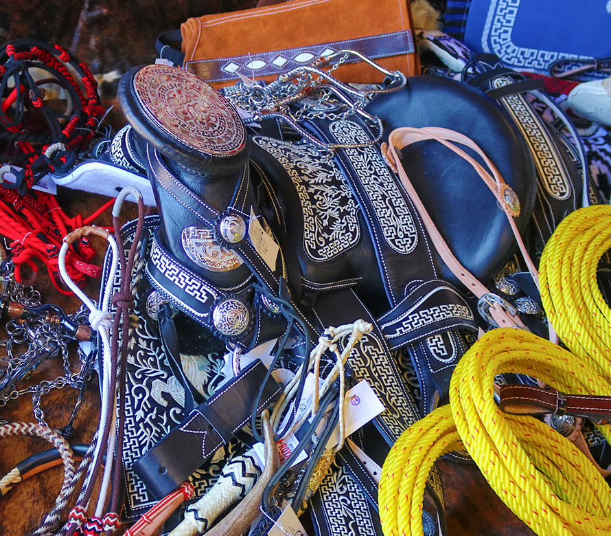 M- Royal Saddles - M- Royal Saddles M- Royal Saddles - M- Royal Saddles
