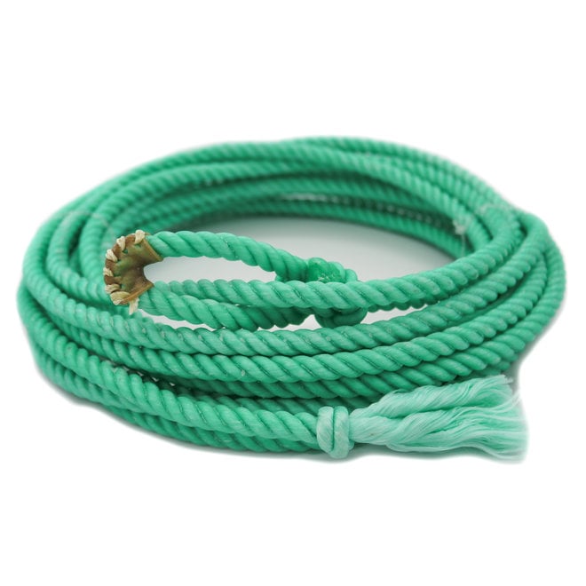 20 Ft  Aqua Rodeo Cowboy Cowgirl Kid Lasso Lariat Rope
