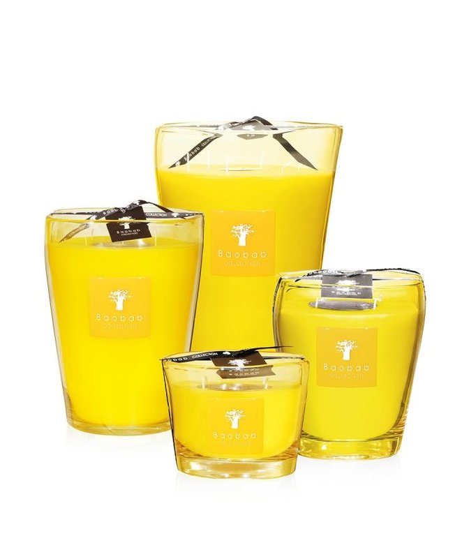 BAOBAB COLLECTION, INC SOUTH BEACH CANDLE