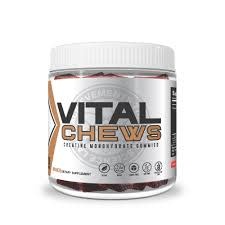 ATS Labs ATS Labs Vital Chews Creatine Gummies Cola