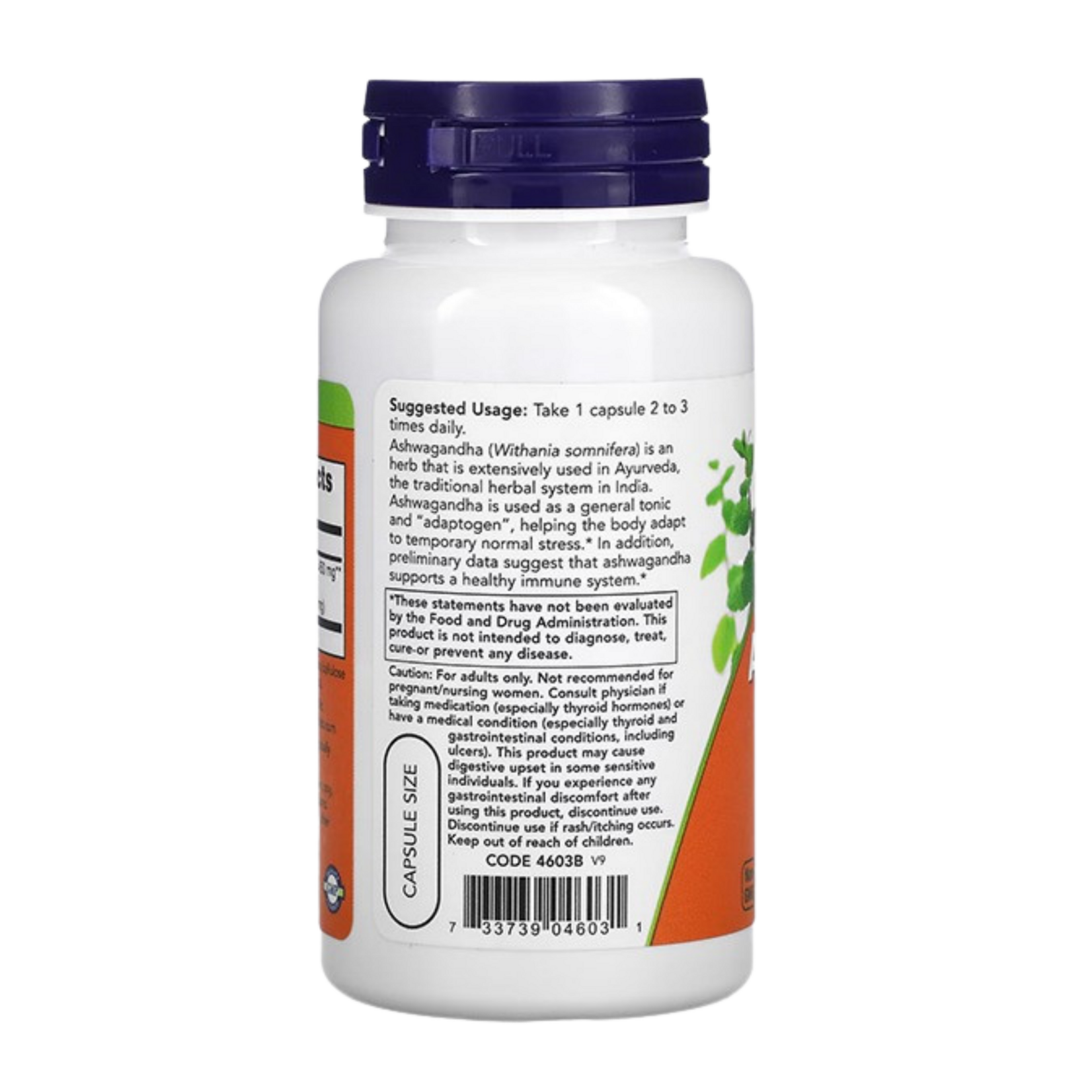 NOW Now Ashwagandha 450mg