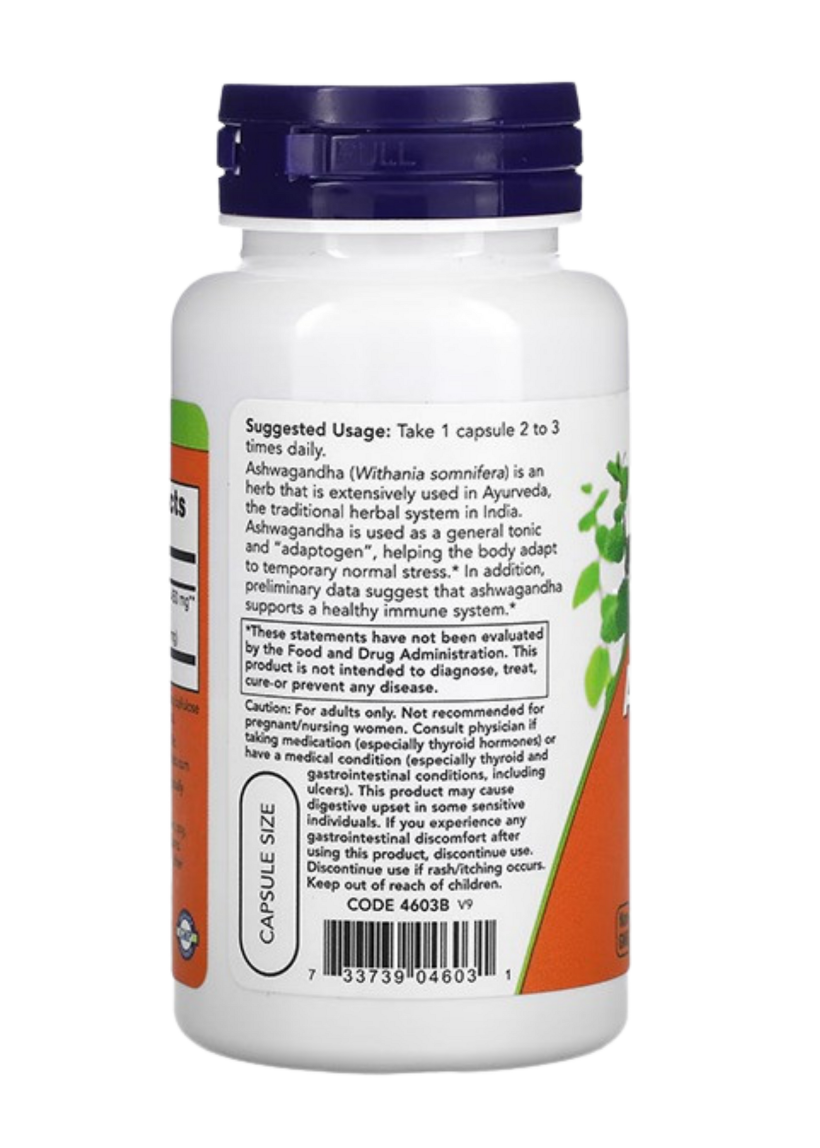 NOW Now Ashwagandha 450mg