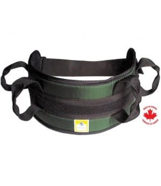 Padded Transfer Belt