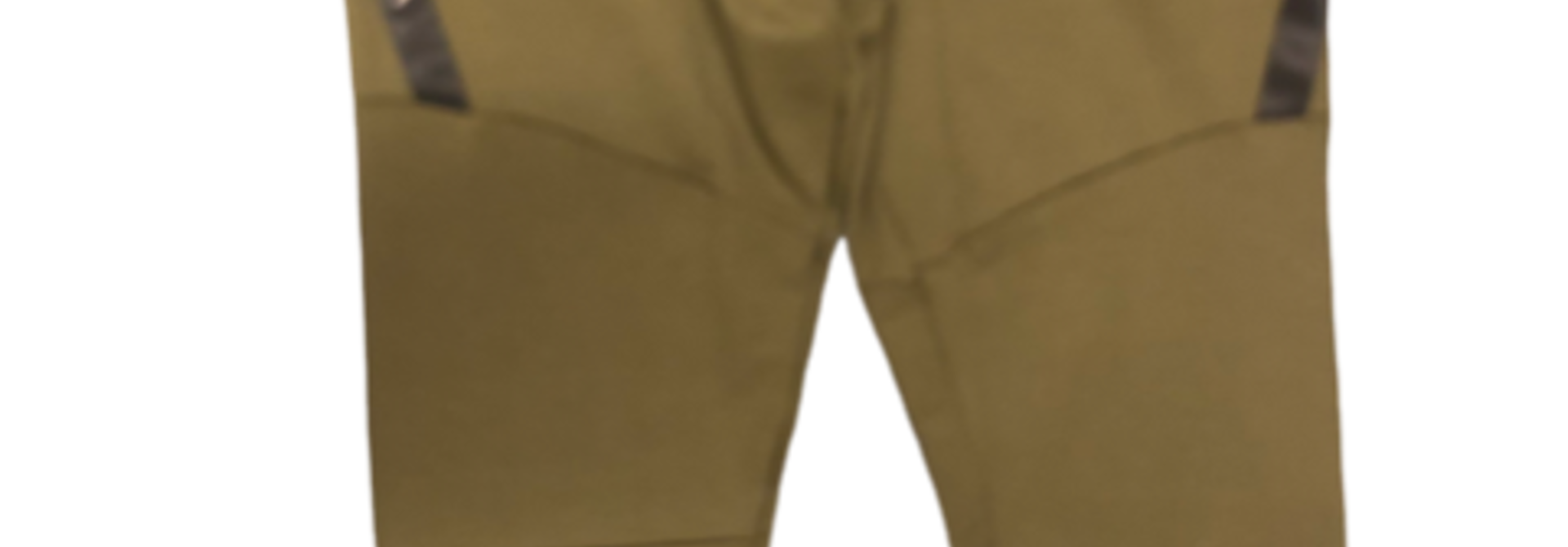 Defiance Jogger