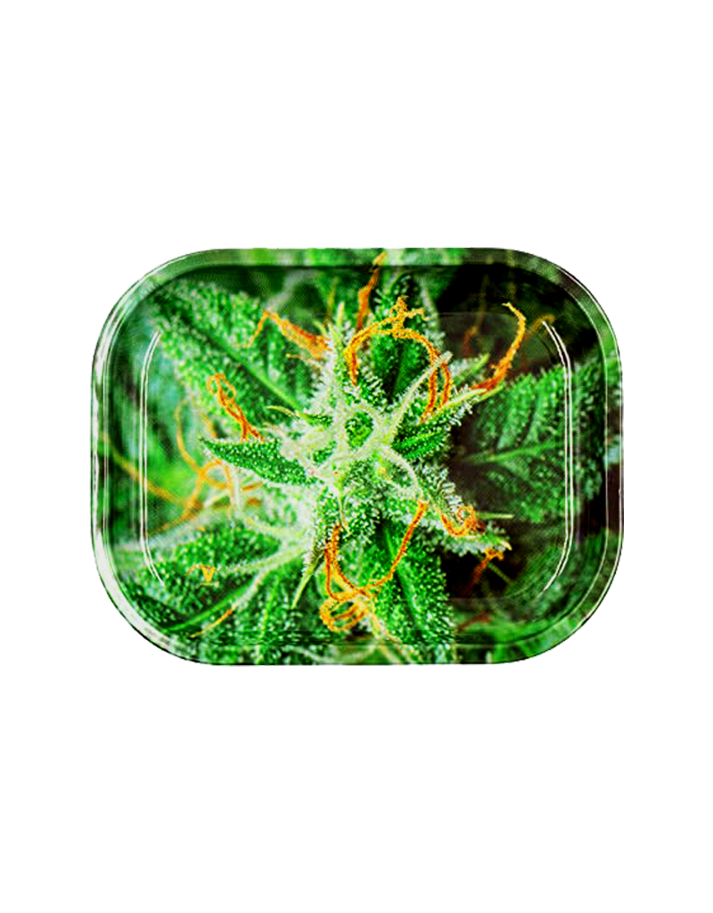 Rollin' Trays V-Syndicate Strains AK-47 Rolling Tray Small