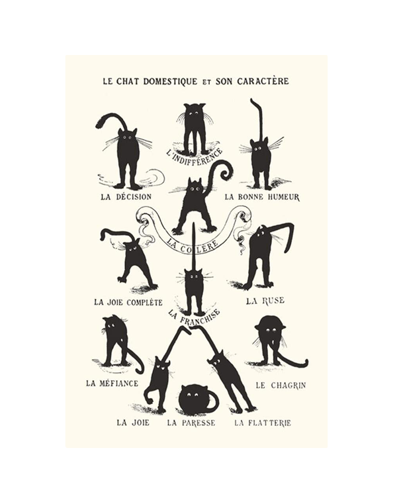 Le Chat Domestique Poster 24