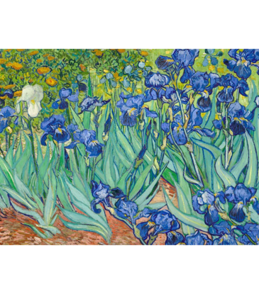 Van Gogh - Irises Poster 36"x24"
