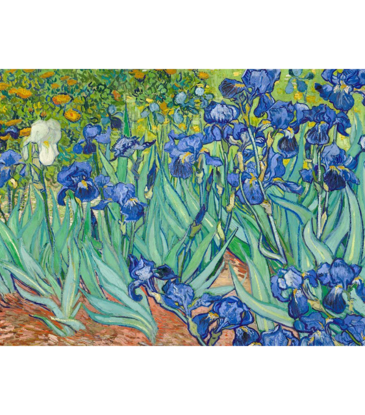 Van Gogh - Irises Poster 36"x24"