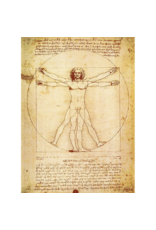 Da Vinci - The Vitruvian Man Poster 24"x36"
