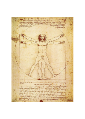 Da Vinci - The Vitruvian Man Poster 24"x36"