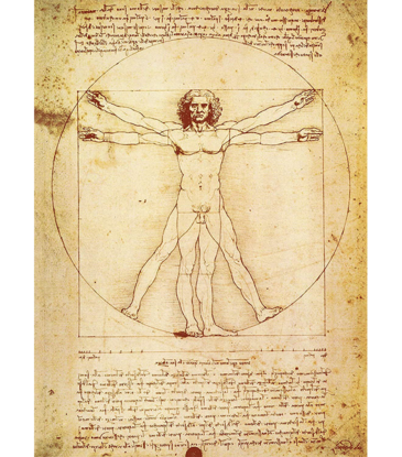Da Vinci - The Vitruvian Man Poster 24"x36"