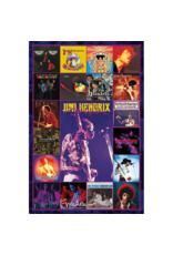 Jimi Hendrix - Discography Poster 24"x36"