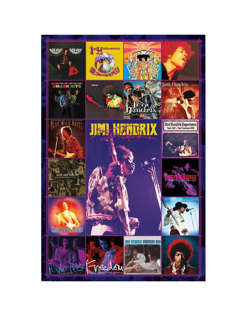 Jimi Hendrix - Discography Poster 24"x36"
