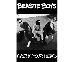 Beastie Boys - Check Your Head Poster - Mushroom New Orleans