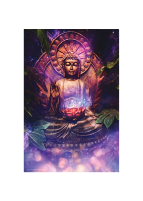 Tranquil Buddha Poster 24"x36"