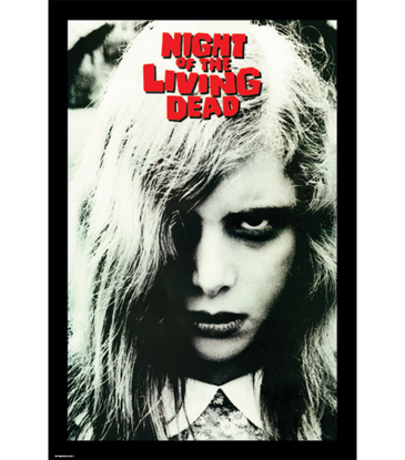Night of the Living Dead - One Sheet Movie Poster 24"x36"