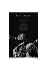 Bob Marley - Iron Lion Zion Live Poster 24"x 36"