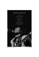 Bob Marley - Iron Lion Zion Live Poster 24"x36"
