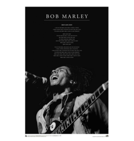 Bob Marley - Iron Lion Zion Live Poster 24"x 36"