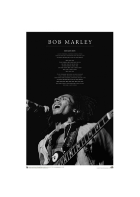 Bob Marley - Iron Lion Zion Live Poster 24"x 36"