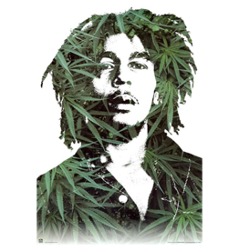 Bob Marley - Leaves Poster 24"x36"