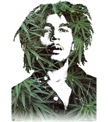 Bob Marley - Leaves Poster 24"x36"