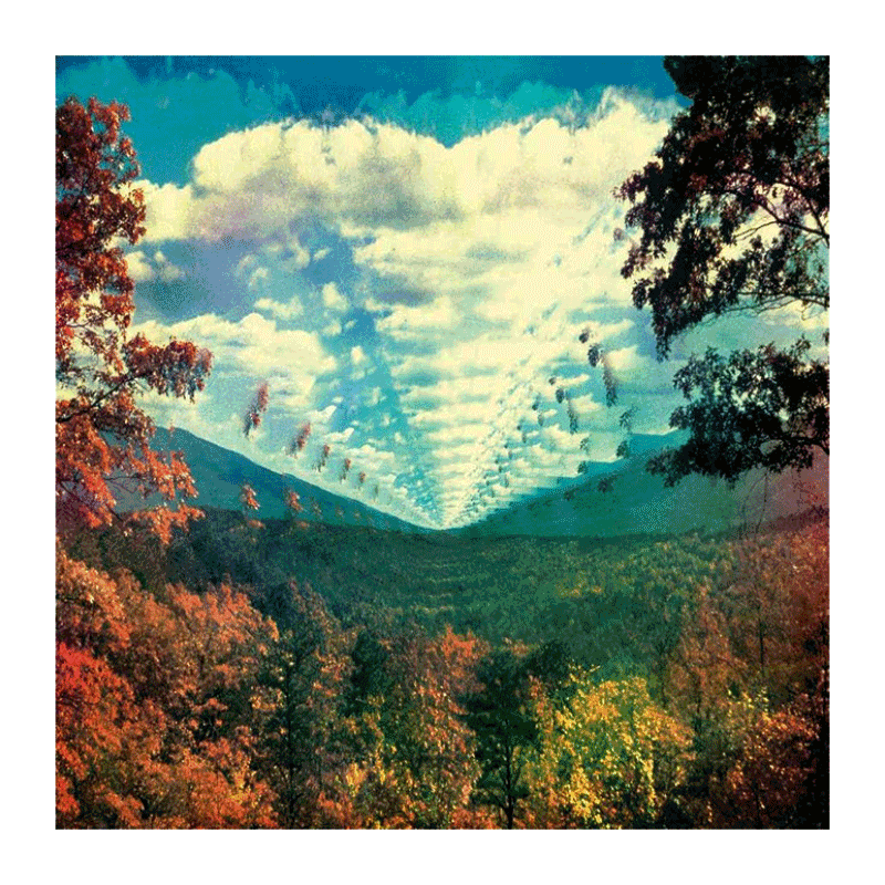 Pond The Weather テーム・インパラ Tame Impala CD POND THE WEATHER