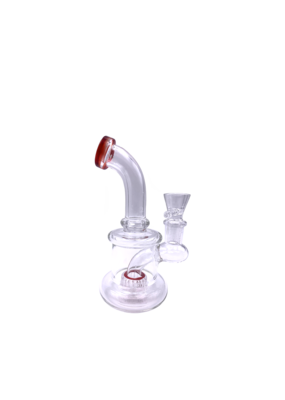 6" Bent Neck Showerhead Water Pipe With Color Accent
