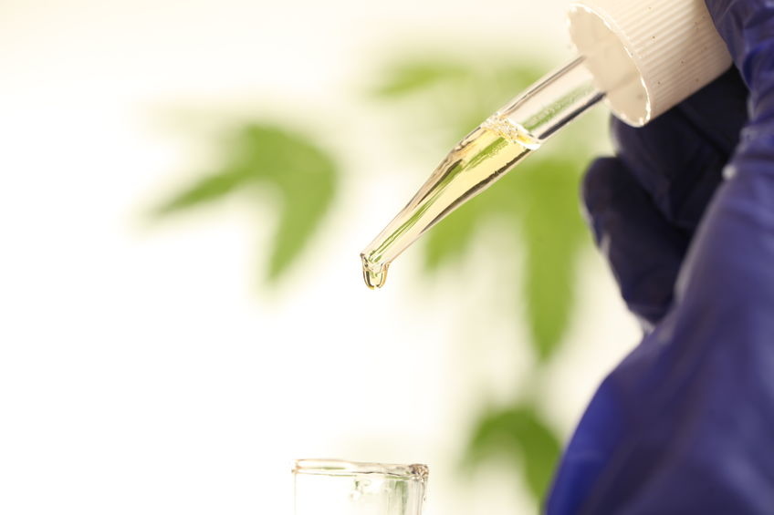 Spotlight on Colorado-Based CBD Company Charlotte’s Web