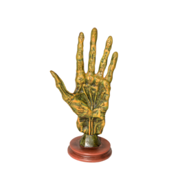 Alchemy Palmistry Hand Statue 11"H