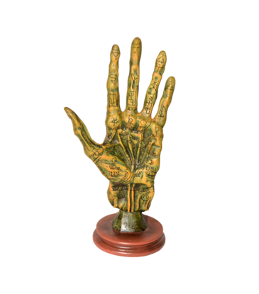 Alchemy Palmistry Hand Statue 11"H