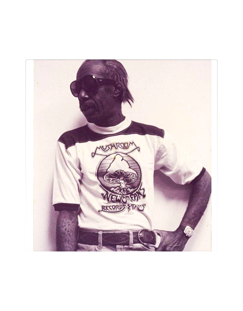 Mushroom Vintage Ringer T-Shirt Purple