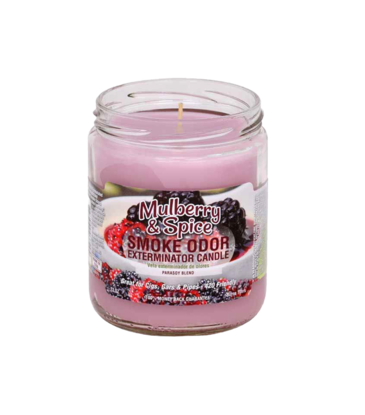 Smoke Odor Smoke Odor Mulberry and Spice Candle