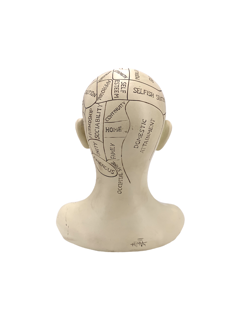 Phrenology Head Statue 8.5"H