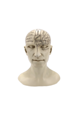 Phrenology Head Statue 8.5"H