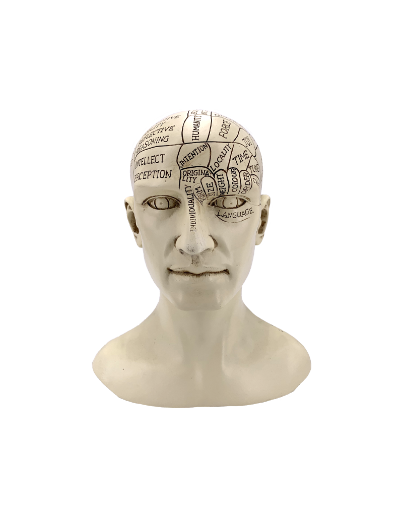 Phrenology Head Statue 8.5"H