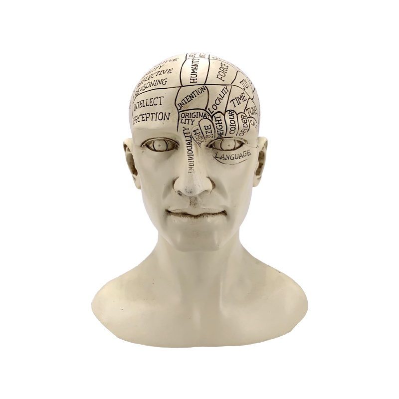 Phrenology Head Statue 8.5"H Mushroom New Orleans