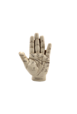 Palmistry Hand 5"H