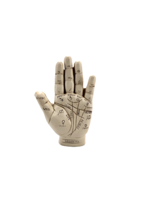 Palmistry Hand 5"H