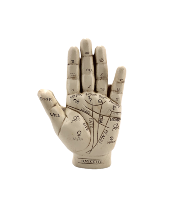 Palmistry Hand 5"H