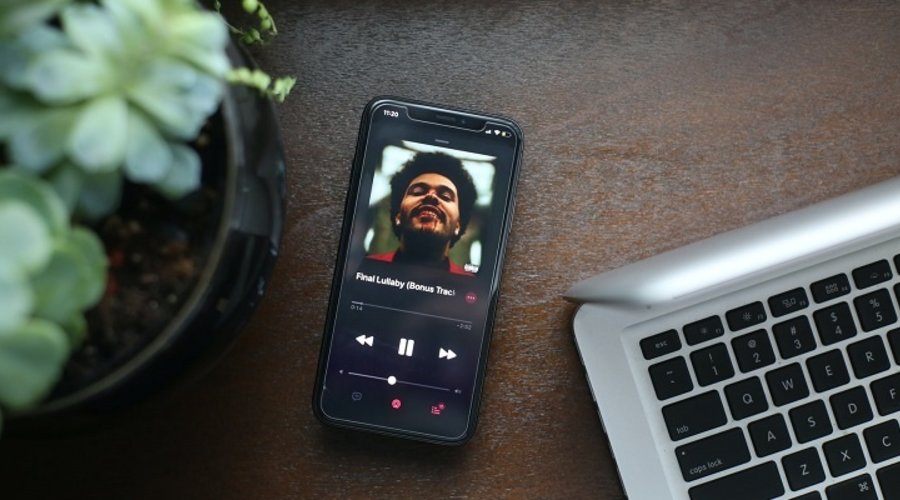 New Noise in the New Year