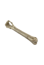 Skeleton Arm Incense Burner