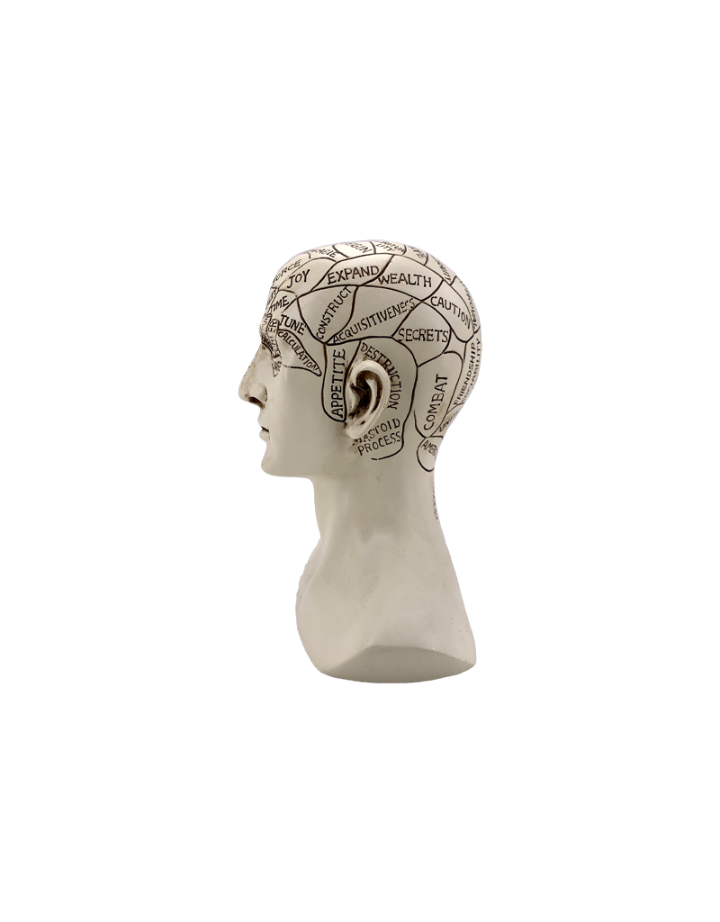 Phrenology Head Statue 6"H