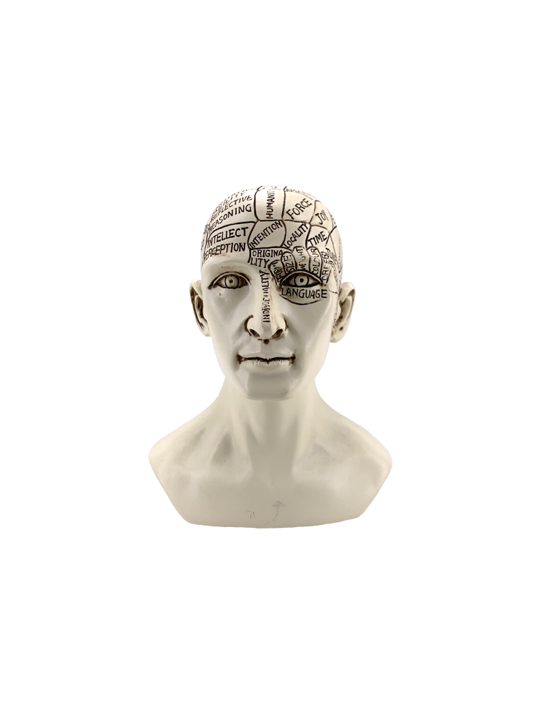 Phrenology Head Statue 6"H