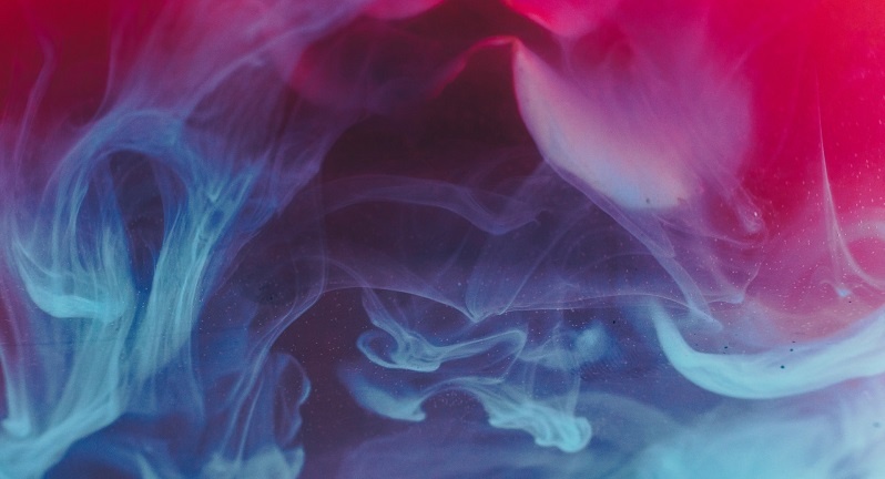 Celebrate 4/20 at Mushroom New Orleans