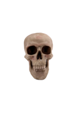 Human Skull Statue 4.5"H