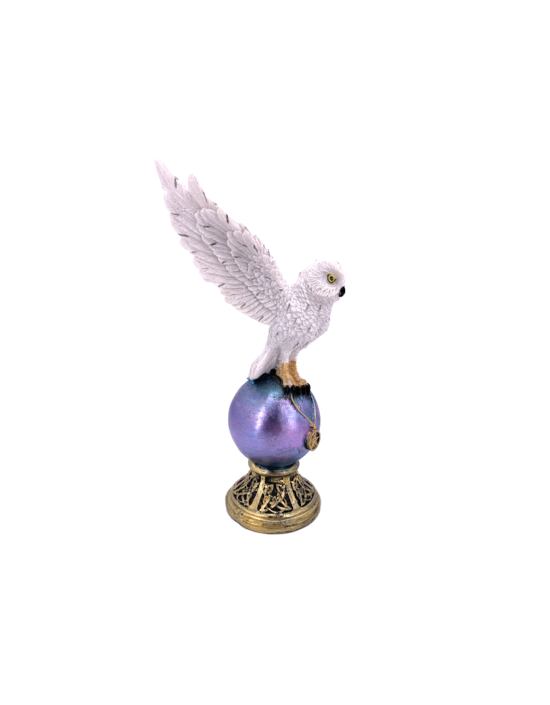 Flying Wicca Owl and Magic Ball